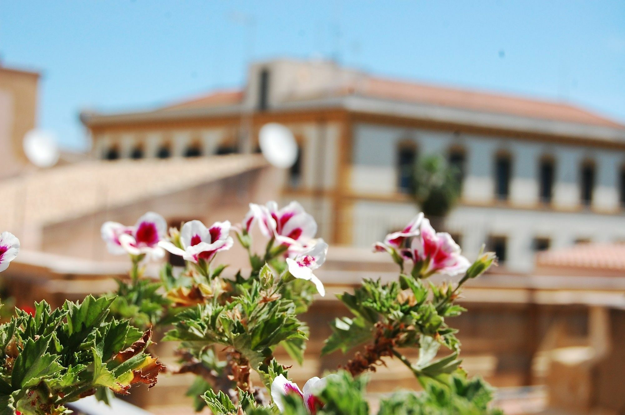 Portatenea - Atenea Collection Agrigento Exterior photo